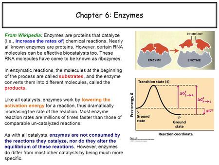 Factors affecting enzyme activity wikipedia